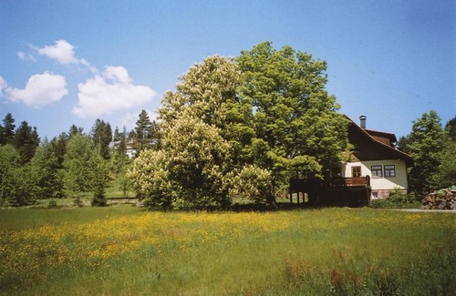 Freudenstadt Apartamento | Apartamento en las afueras del Parque Nacional Bosque Negro