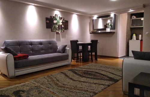 Lisicji Potok Apartamento | Apartment Dedinje - Belgrade - Entire apartment