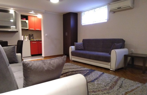 Lisicji Potok Apartamento | Apartment Dedinje - Belgrade - Entire apartment
