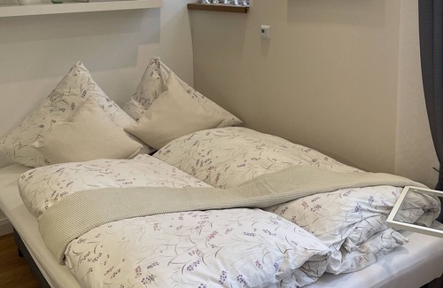 Zirndorf Apartamento | Apartment-Deluxe-Private Bathroom-Terrace