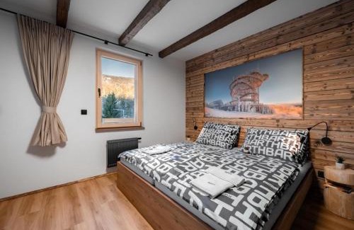 Dolni Morava Apartamento | Apartment Dolní Morava-2 by Interhome