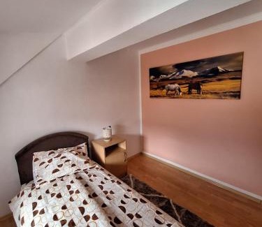 Pluzine Apartamento | Apartment DUCA