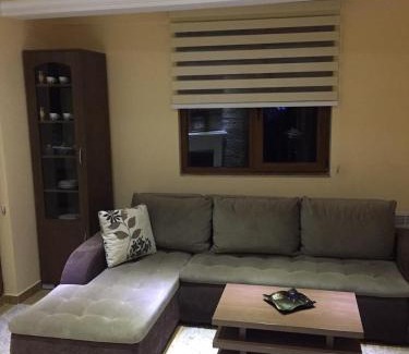Kopaonik Apartamento | Apartment Elvir