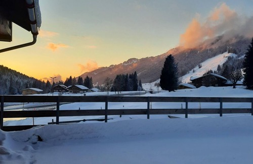 Balderschwang Apartamento | Apartment Enzian - Almhof Lässer