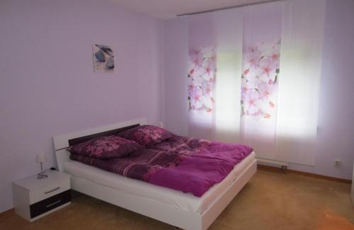 Bruhlervorstadt Apartamento | Apartment Erfordia Erfurt am Egapark