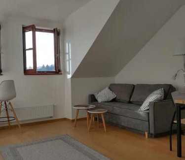 Kasperske Hory Apartamento | Apartment Felicitas