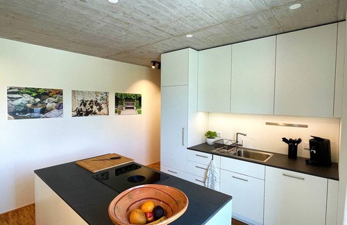 Elzach Apartamento | Apartamento 'Ferienwohnung Grüner Ausblick' con vistas a la montaña y Wi-Fi