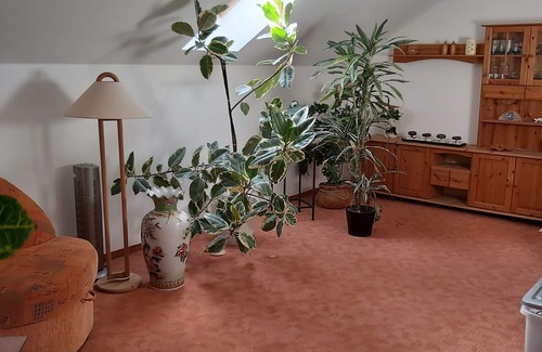 Werder Apartamento | Apartamento flor ciudad Werder-Havel
