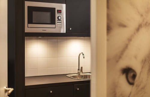 Mitte Apartamento | holiday apartment/apt. for 2 guests with 19m² in Nuremberg (158014)
