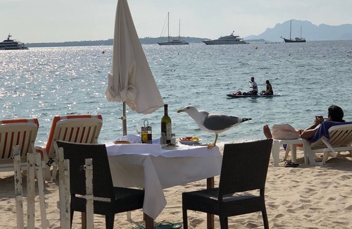 Cros-de-Cagnes Apartamento | Frente al apartamento jardín de la playa Cagnes sur Mer Costa Azul