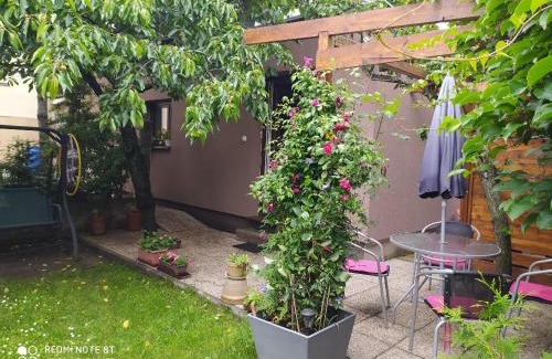 Ceske Budejovice Apartamento | Apartment Garden