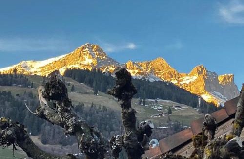 Engelberg Apartamento | Apartment Gerschnistrasse 10 by Interhome