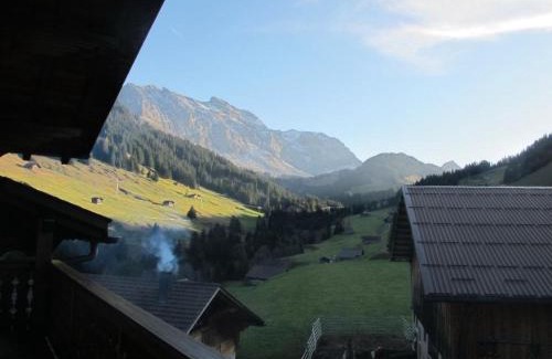 Adelboden Apartamento | Apartment Gilbachhöckli 2 by Interhome