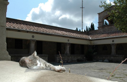 Ialyssos Apartamento | Apartamento "Grace" con 2 espacios, en las faldas de Filerimos, Ialysos - Rodas