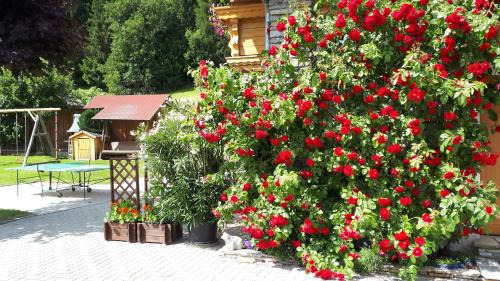 Mauterndorf Apartamento | Apartment Haus Dengg
