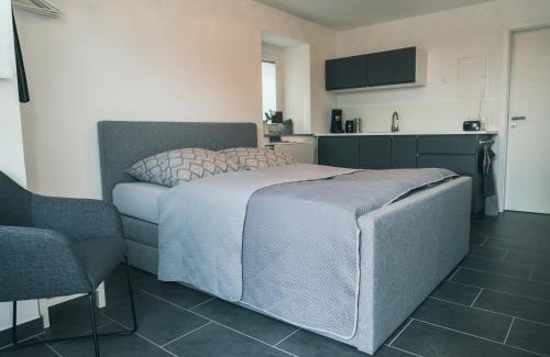 Duerrroehrsdorf-Dittersbach Apartamento | Apartment Haus Inge