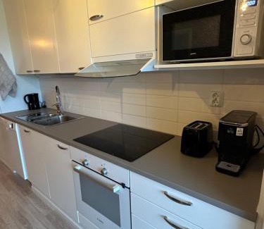 Kuopio Apartamento | Apartment in Kuopio's Archipelago City