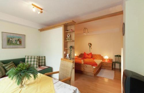 Runhof Apartamento | Apartment in Längenfeld near Sölden Ski