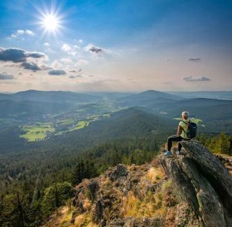 Lam Apartamento | Apartment in Lam - Bayerischer Wald 50007
