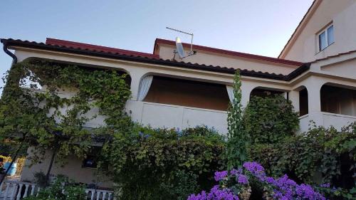 Lopar Apartamento | Apartment in Lopar - Insel Rab 17757