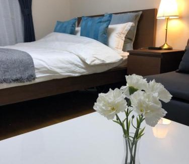 Narita Apartamento | Apartment in Narita 102