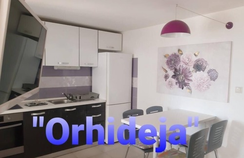 Slatine Apartamento | Apartamento en Slatine con Seaview, Terraza, Acondicionador, WIFI (5130-2)
