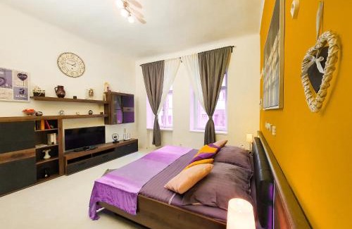 Zizkov Apartamento | Apartment in the center of Prague