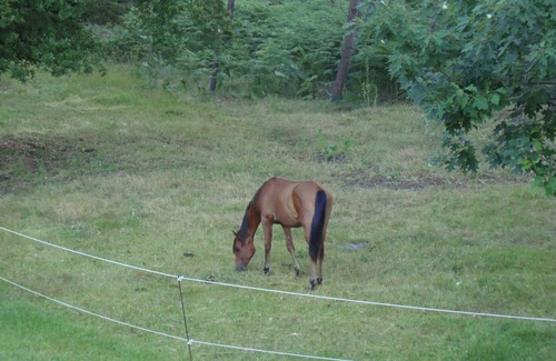 Pompiey Casa | APARTMENT IN THE COUNTRYSIDE POSIBILITY HORSES