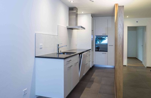 Seengen Apartamento | Apartamento en Seetal / Seengen, cerca de Hallwilersee, el castillo de Hallwyl y Lenzburg