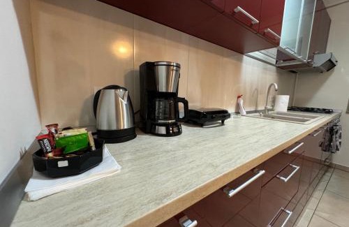 Calea Sever Bocu Apartamento | Apartment in the Villa Northern Dreams #2 PARKING INCLUDED IN PRICE