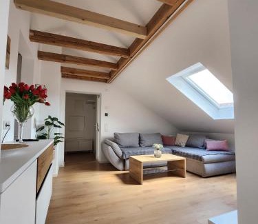 Oberasbach Apartamento | Apartment Katarina Oberasbach mit Klimaanlage 6 Minuten von Playmobil Fun Park