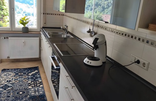 Wolfach Apartamento | Apartment 'Kinzigtalblick' with Mountain View, Private Terrace and Wi-Fi