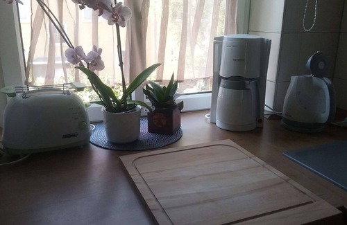 Krampfervorstadt Apartamento | Apartamento 'Kleine Gemütliche Wohnung In Erfurt' con Wi-Fi