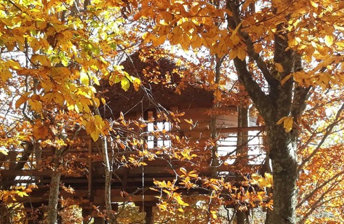 Saint-Agreve Apartamento | Apartment 'La Cabane Des Fayards' with Mountain View, Private Terrace and Shared Garden