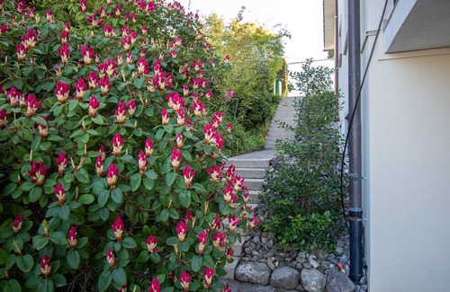Goldach Apartamento | Apartment Lake Constance panorama
