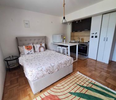 Pluzine Apartamento | Apartment Lake story