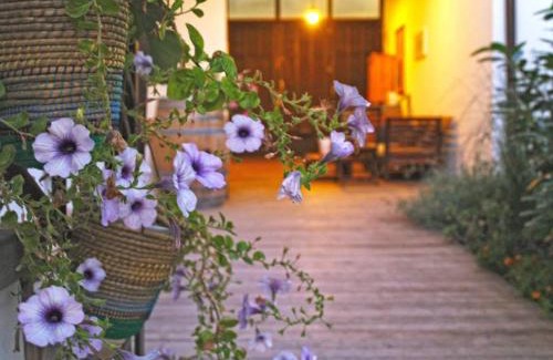 Illmitz Apartamento | Apartment Landart