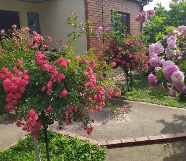 Pancevo Apartamento | Apartment Ljupka