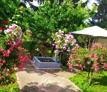 Pancevo Apartamento | Apartment Ljupka