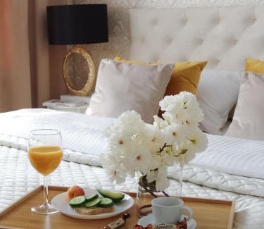 gmina Bobrowniki Apartamento | Apartment LUXOR - Airport Katowice-Pyrzowice
