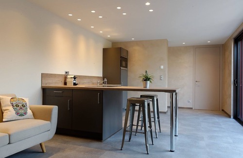Ribeauville Apartamento | Apartamento-Lujoso-Baño con ducha-Vista a la Montana