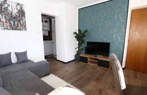 Hippach Apartamento | Apartment Mayrhofen near Horbergbahn