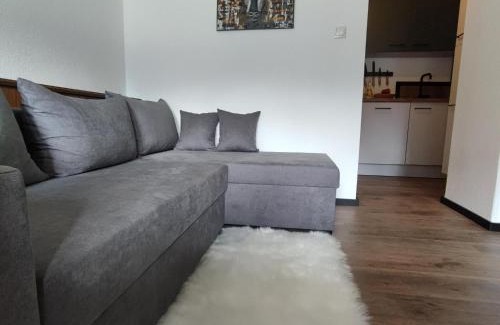 Hippach Apartamento | Apartment Mayrhofen near Horbergbahn