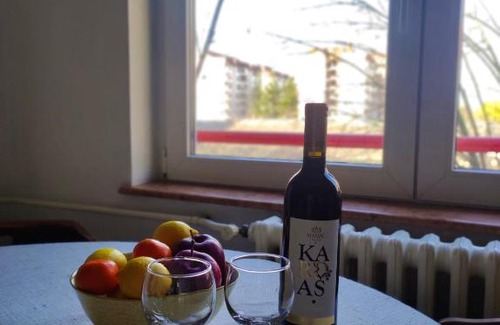 Dorcol Apartamento | Apartment Melano