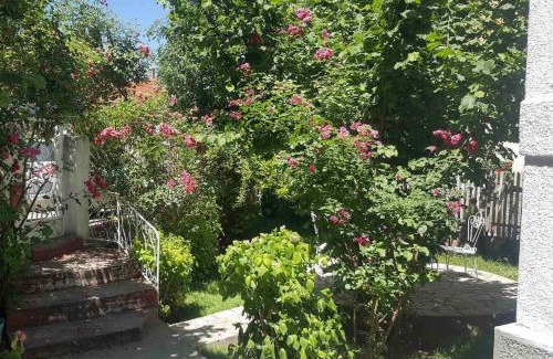 Niska Banja Casa | Apartment Milinković 2