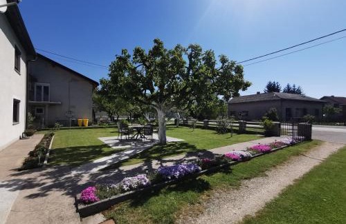 Korenica Apartamento | Apartment Milka