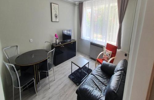 Soko Banja Apartamento | Apartment Mint