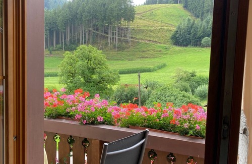Hornberg Apartamento | Apartment 'Mittlere Zimmer' with Mountain View, Balcony and Wi-Fi