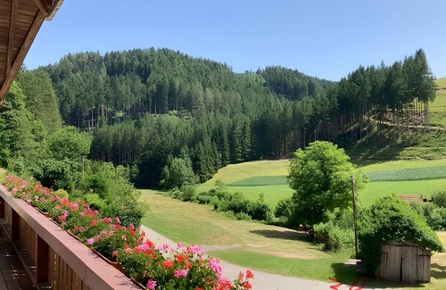 Hornberg Apartamento | Apartment 'Mittlere Zimmer' with Mountain View, Balcony and Wi-Fi