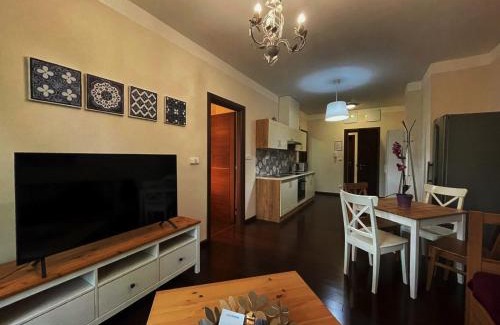 Karlovy Vary Apartamento | Apartment Moser 2106